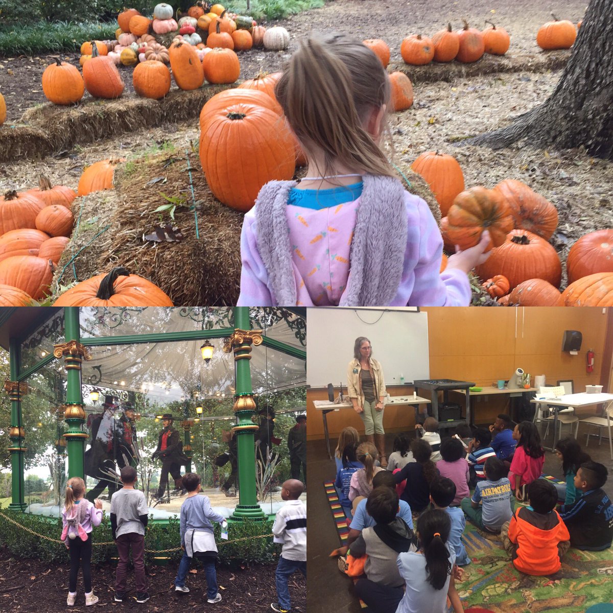 celiaann35's tweet photo. Field trip with my 2nd graders to the Arboretum π#rhsteachinginternship @reese_teach https://t.co/HSb62Csyro