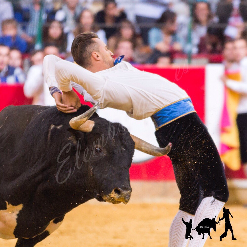 elembroque's tweet photo. @cristianmoras90 en Zaragoza
#finca #campobravo #campo #toreo #traficion #tauromaquia… https://t.co/uTgD7CanXt https://t.co/vQPgeJhL2h