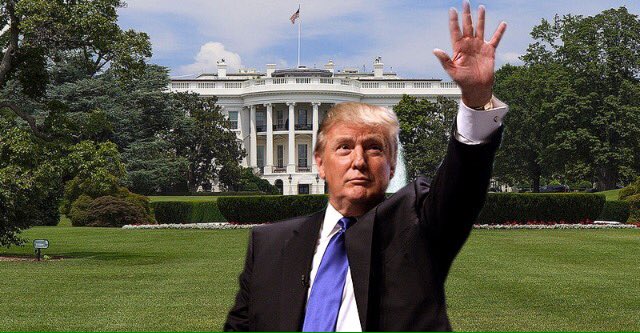 LoriHavercamp's tweet photo. #Election 2016 #itreallyWASrigged #howthef*ckdidthishappen #wearealldoomed #apacolypse2017 #WTF #DonaldTrump #KillMeNow https://t.co/EzRQnRP6G5