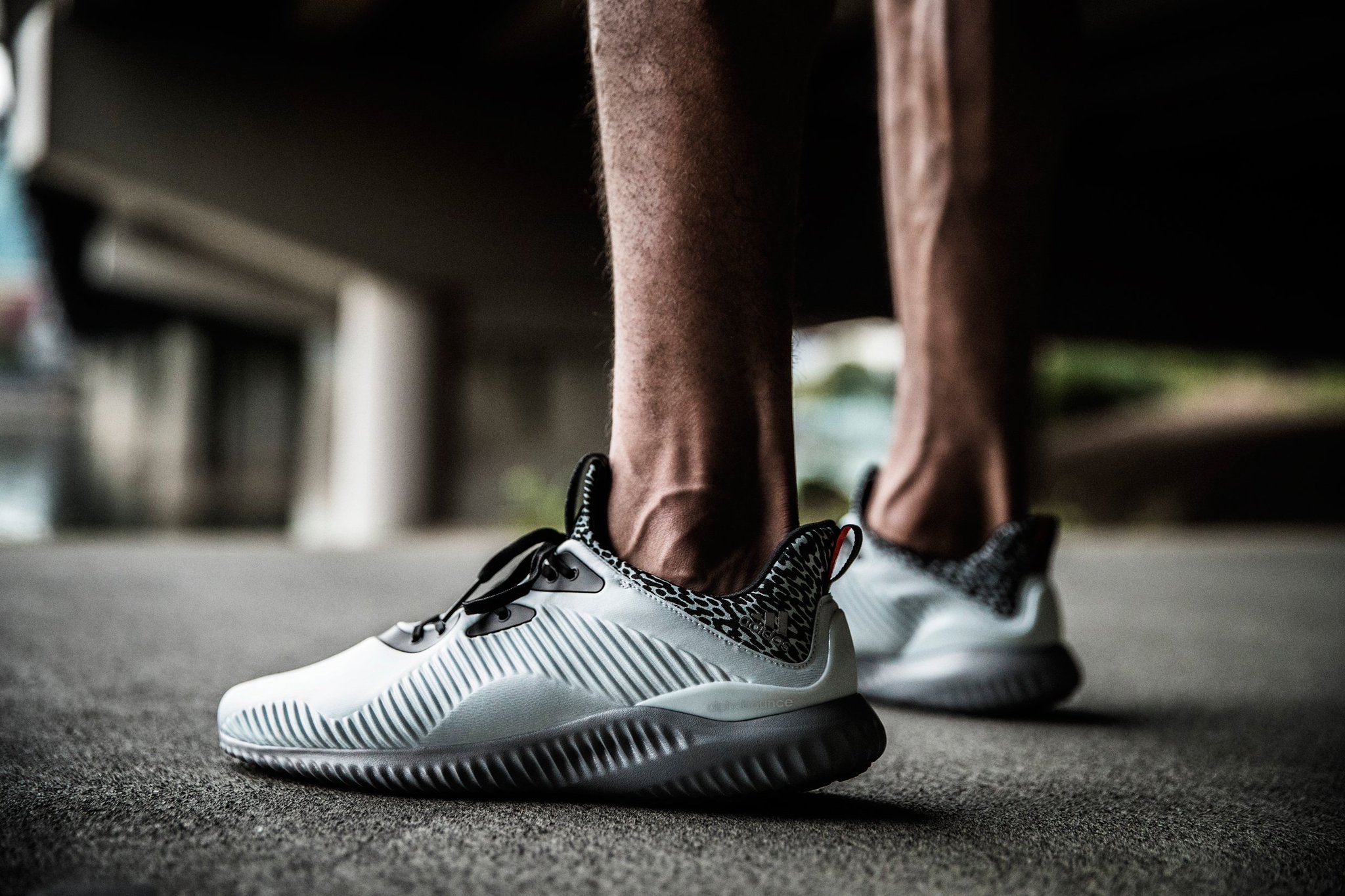 Finish line best sale alphabounce