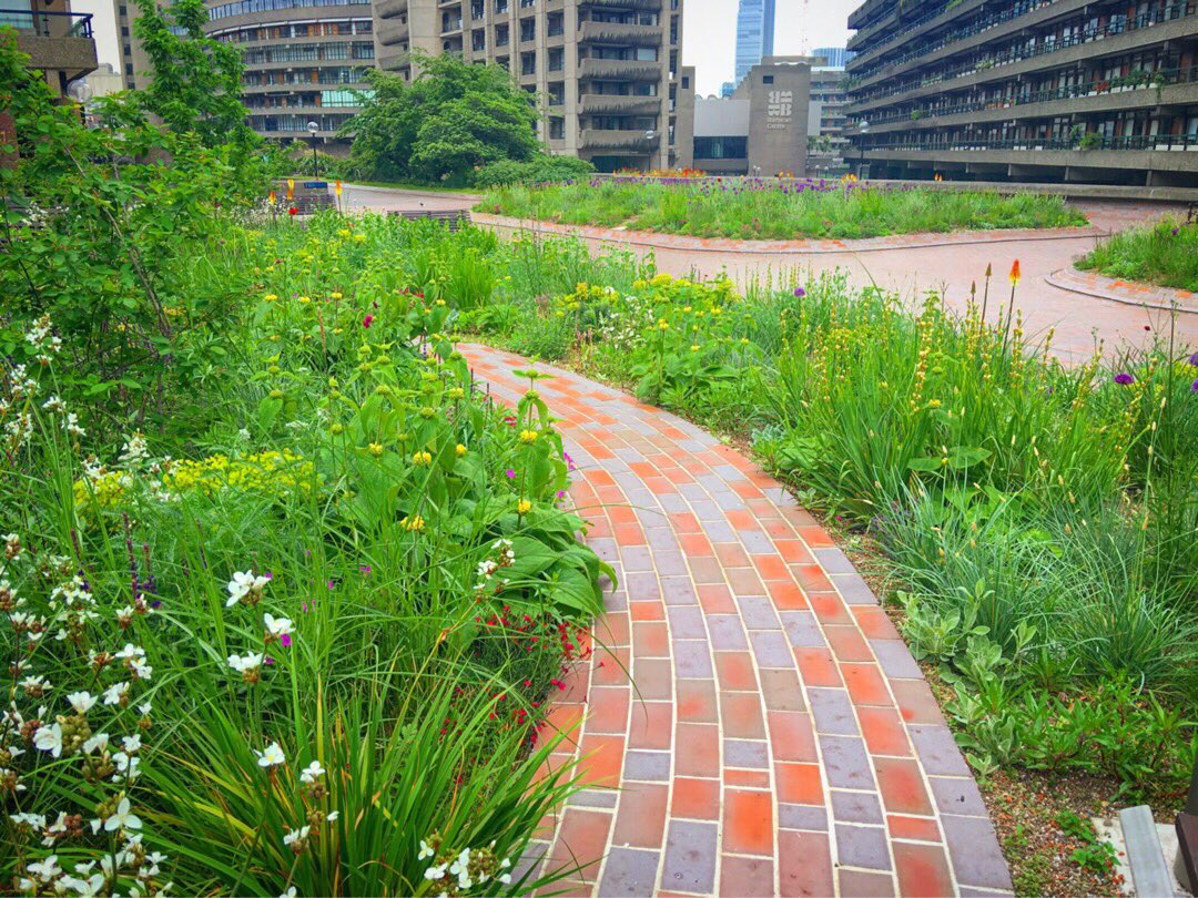 Joannayan1's tweet photo. 'Spring🍃 vs Autumn🍂'2 @NigelDunnett @BarbicanCentre https://t.co/kA9Lcw9dKL