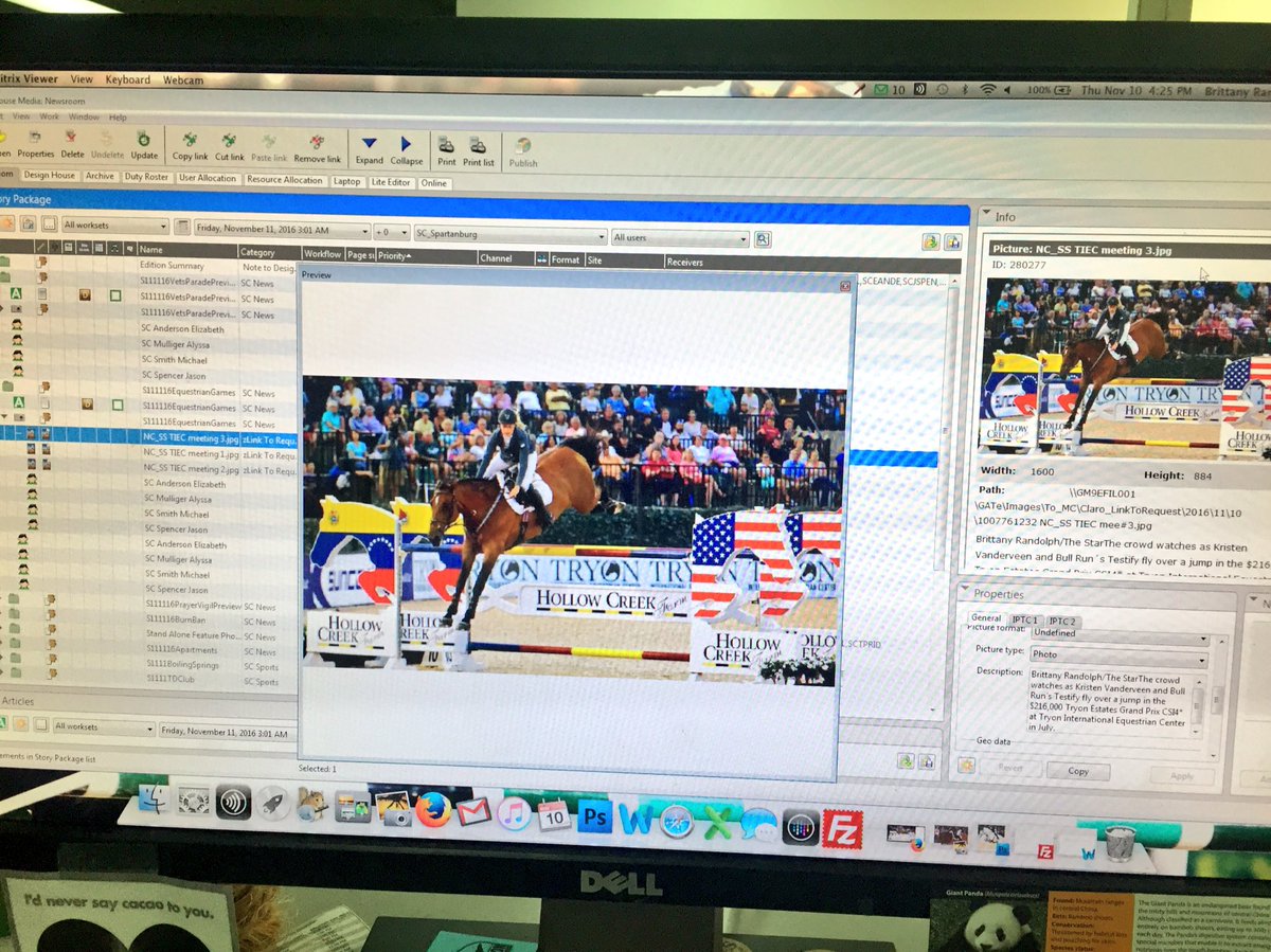 simmerdownbrit's tweet photo. Bull Run's Testify is about to show off his skills in Gatehouse Media newspapers for the WEG @ TIEC meeting! @BullRunJumpers https://t.co/UGyPnycvy3