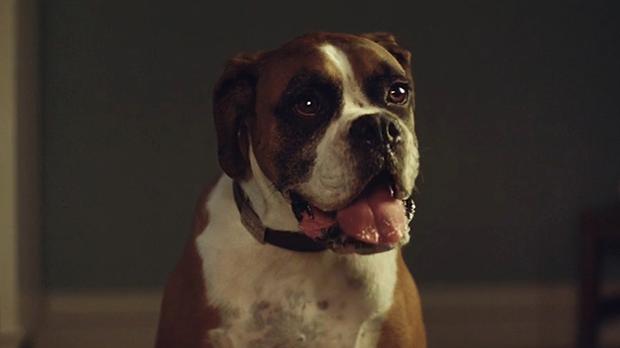 piersmorgan's tweet photo. Just watched this year's #johnlewischristmas ad. 
Lame, cheesy &amp; uninspiring. 
Sorry, Buster. https://t.co/XFAC7yCgf1