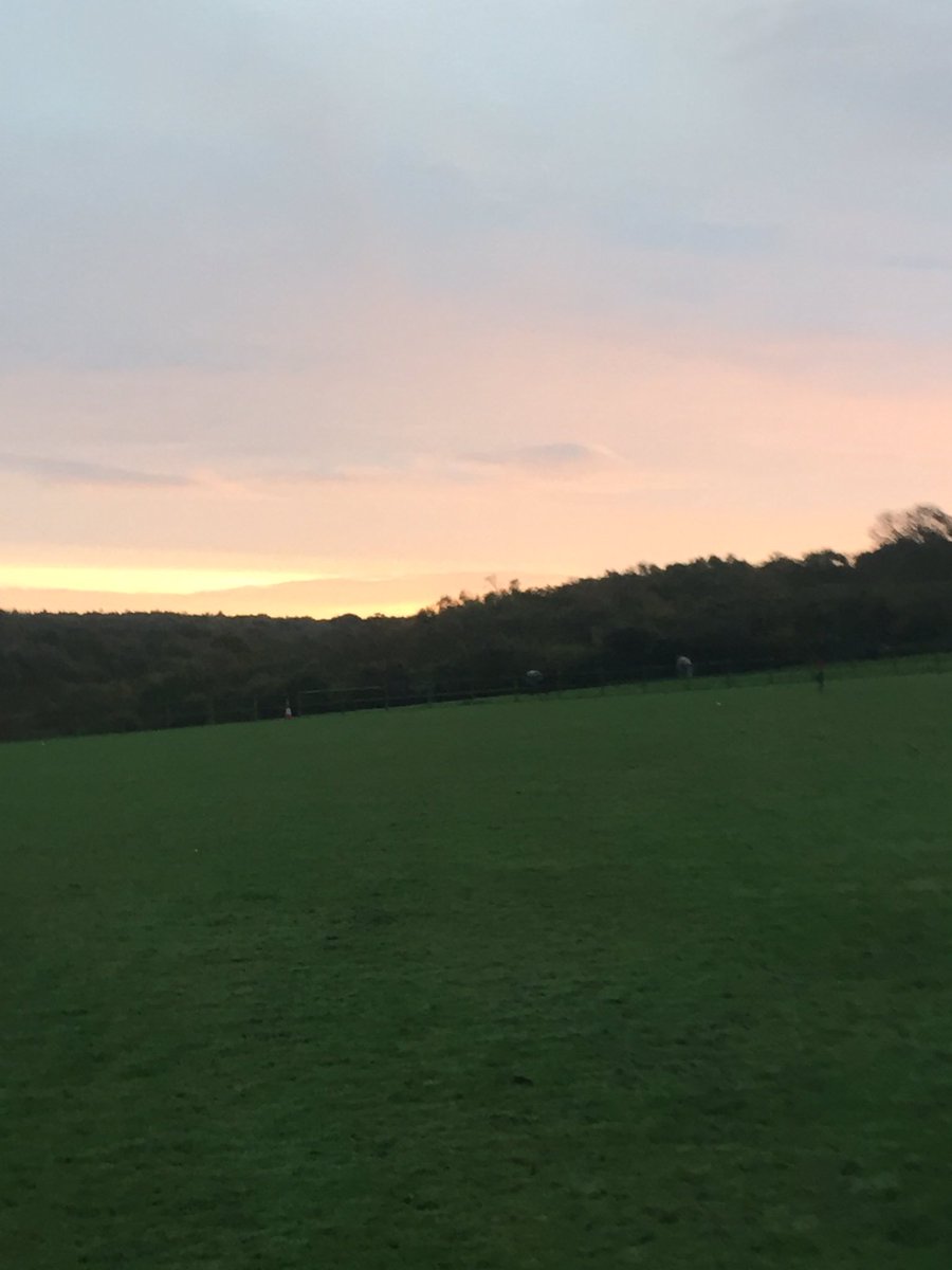 Conroy Polo tweet media