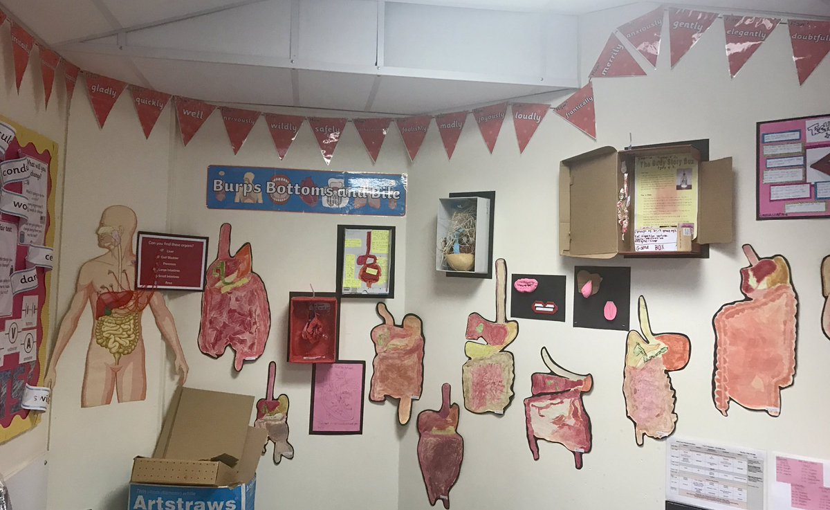 Year 4.     Burps, Bottoms &amp; Bile