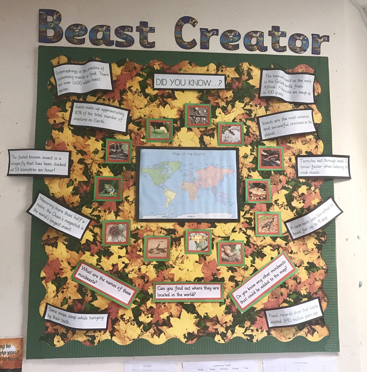 Year 5.     Beast Creator