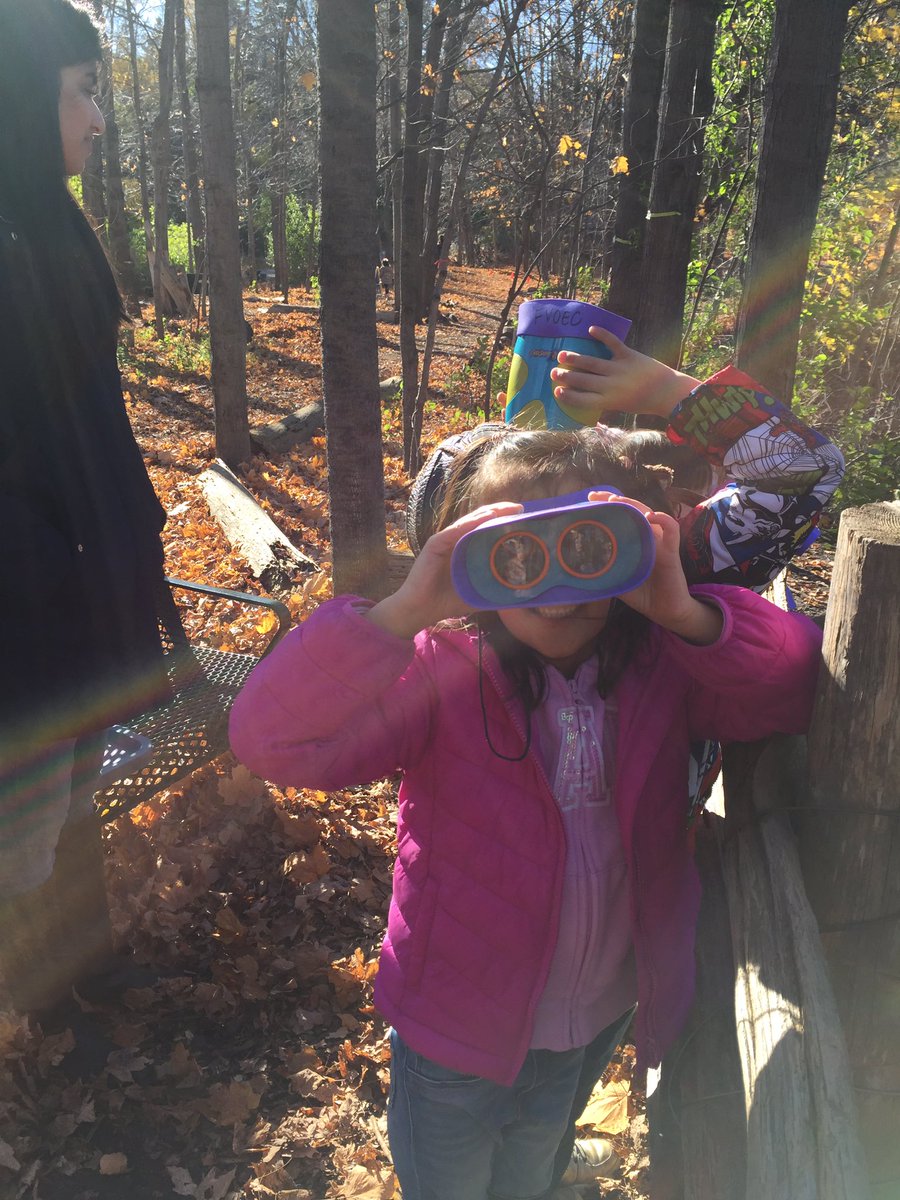 MerveillesKindy's tweet photo. A perfect day to explore &amp; investigate! thank you @ForestValleyOEC @YorkviewPS #tdsb #handsonlearning #wormsfordays https://t.co/LS0JpxR8cr