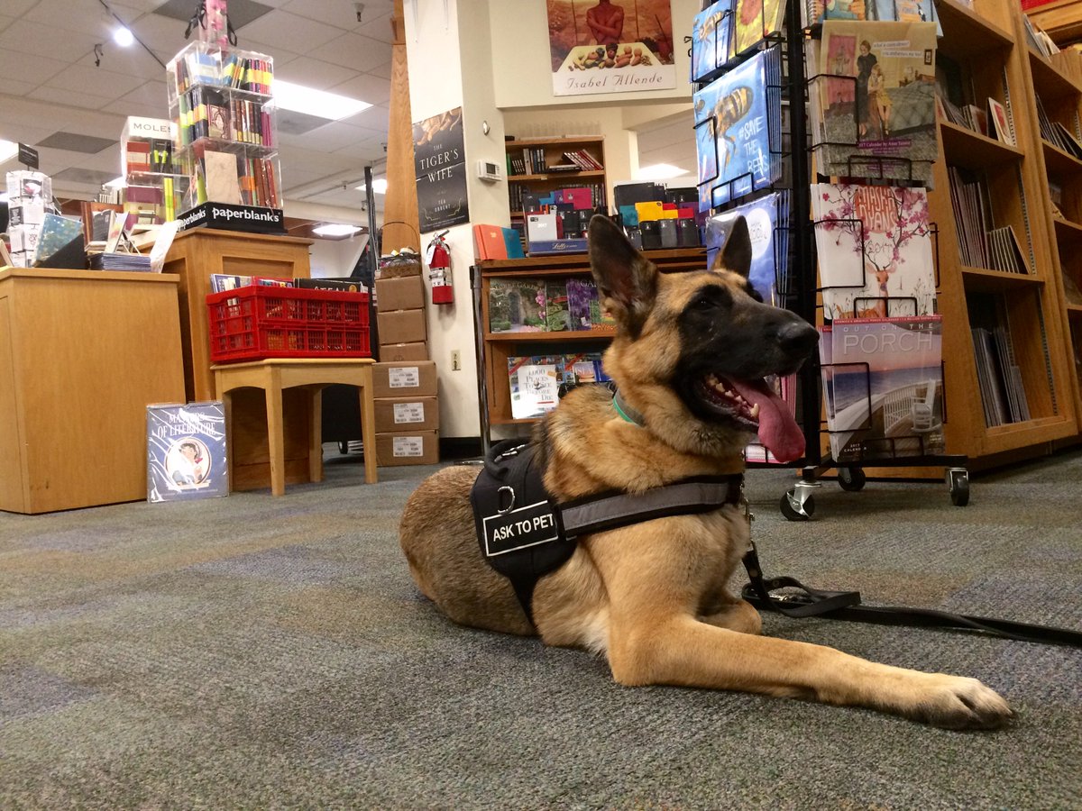 bookpassage's tweet photo. HAPPENING NOW: #SecretServiceDogs @MariaGoodavage #dogsofBP https://t.co/yhWiwyqJXU