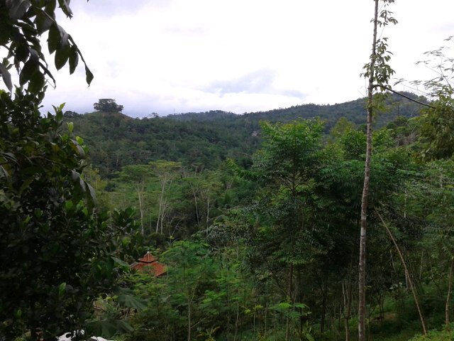 Puncak pasirjoho dan puncak pasir gumawang terpantau dari pasir sereh <a href="/InfoJatiwaras/">#jabar #indonesia</a>