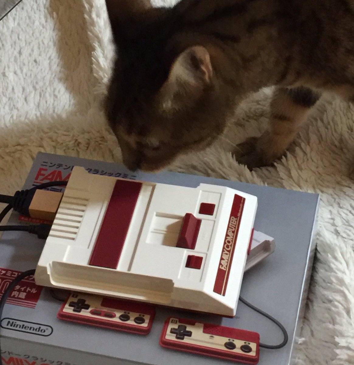 ミニファミコンの進化したリセットボタンによって 人類は猫との共存を赦された ありがとう任天堂 Togetter ミニファミコンの進化したリセットボタンによって 人類は猫との共存を赦された ありがとう任天堂 Togetter