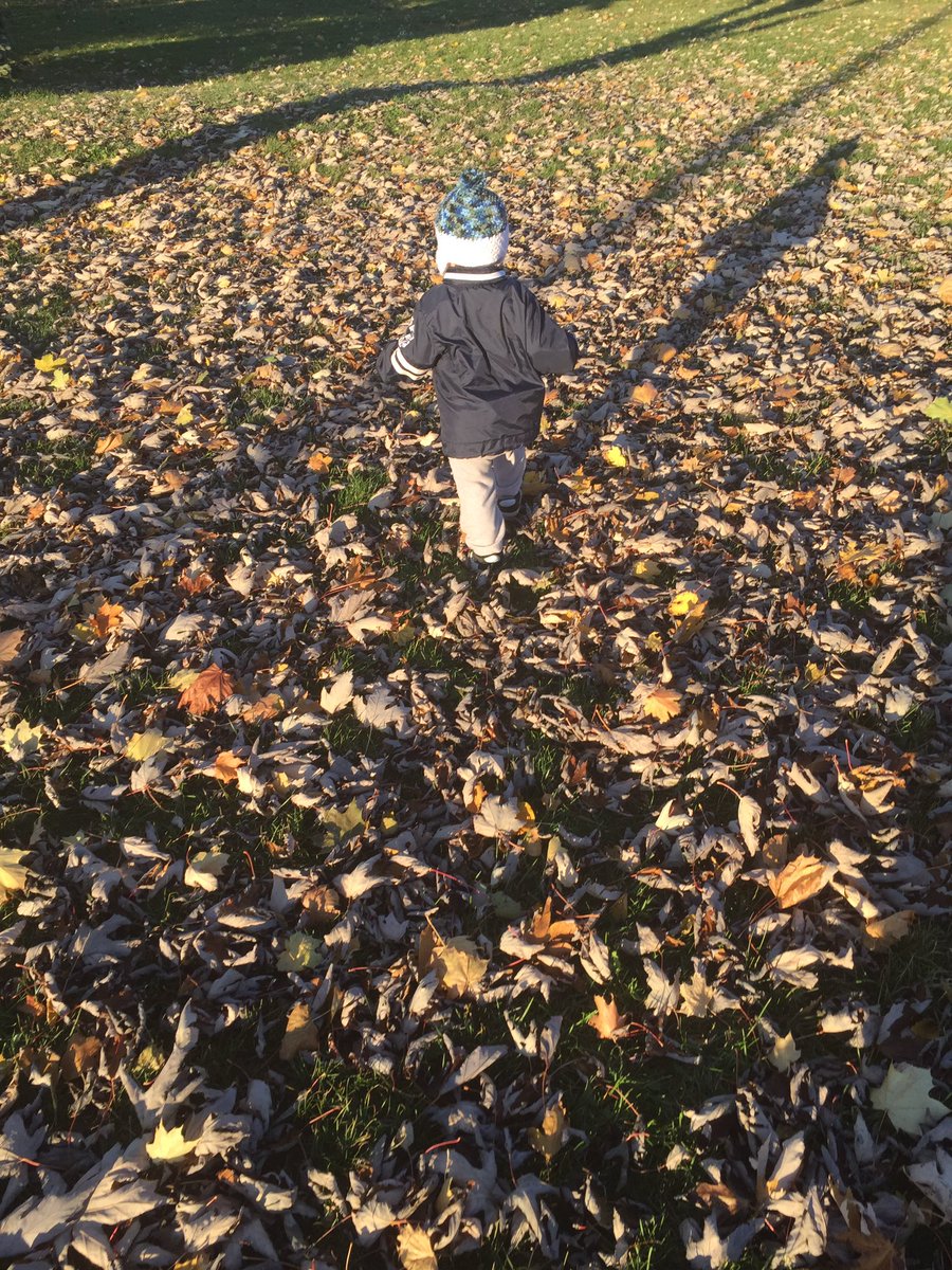 Carling84's tweet photo. He's loving the windy fall weather and the falling leaves. #reedmiller #fallbucketlist #goforahikeinnature #toddlermom https://t.co/d50nqp4a9D