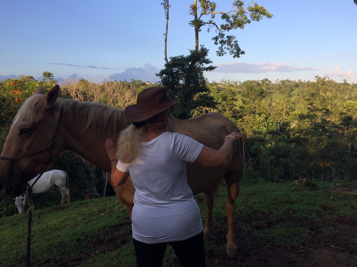 LiveDandelion's tweet photo. Heart to Heart with horses #horsehealing #Costarica #equinefacilitatedlearning https://t.co/zzJAdeHlqw