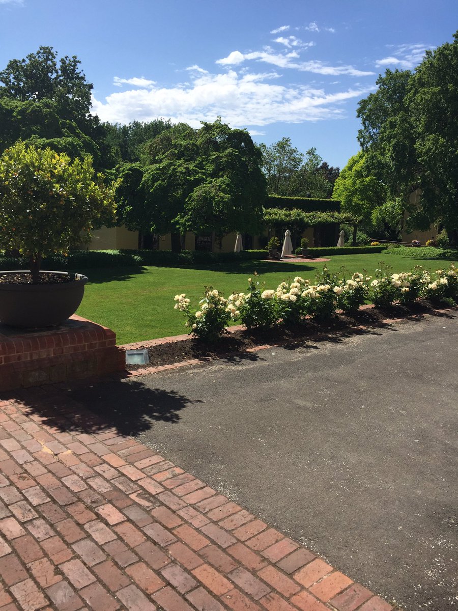 A glorious morning in the Barossa Valley <a href="/yalumba/">Yalumba</a> <a href="/pdonofrio1/">Pompea D'Onofrio</a> <a href="/RundleTom/">TPR</a> <a href="/JimmyDunnett/">James Dunnett</a> <a href="/kempe_alice/">Alice Kempe</a> @barossaliving