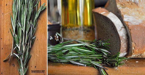20 Unusual Ways For Using Rosemary Beyond Cooking - homesteadingfreedom.com/20-unusual-way…