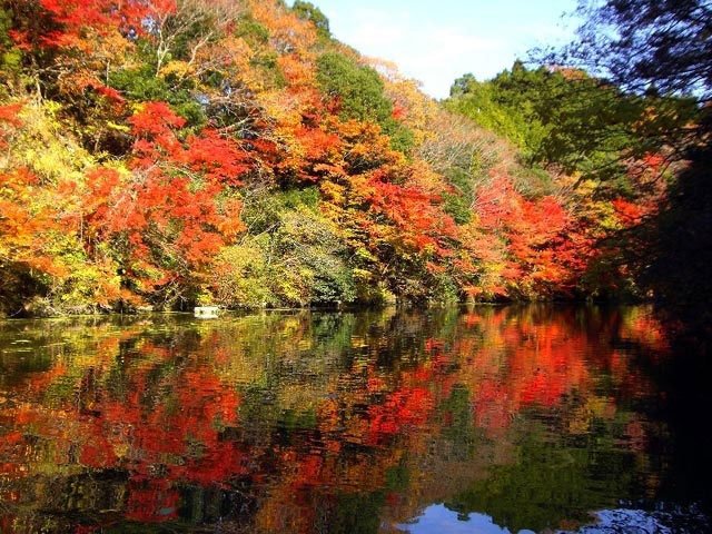 乗換案内next 明日から 11月12日 12月4日 予定 亀山オータムフェスティバル16 亀山湖の紅葉情報 紅葉情報16 T Co Zfxtcbcio3 乗換案内next 明日から 11月12日 12月4日 予定 亀山オータムフェスティバル16 亀山湖の紅葉情報 紅葉情報16 T Co Zfxtcbcio3