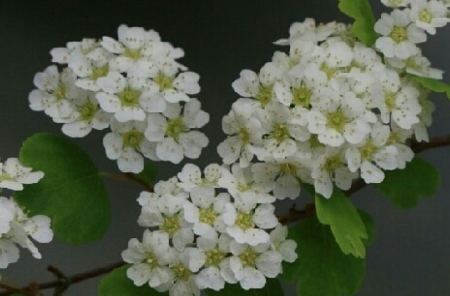 다른 사람을 바꾸려면 
스스로 먼저 바뀌어야 한다. 
이 세상이 나아지지 않는 이유는 
한 가지 때문이다. 
서로가 서로를 변화시키려고만 할 뿐 
자신은 변화하려고 들지 않기 때문이다.
 -토마스 아담스-