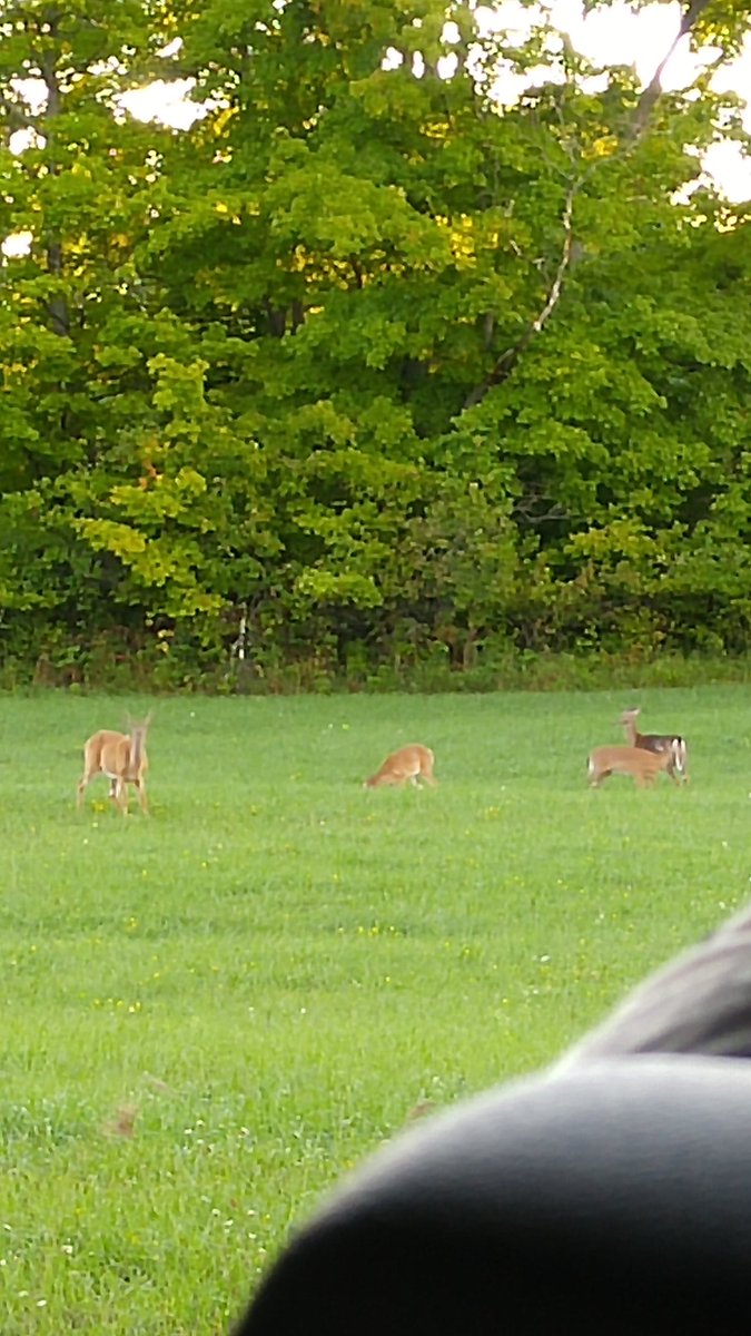 Korodinator's tweet image. #fieldcamp2016