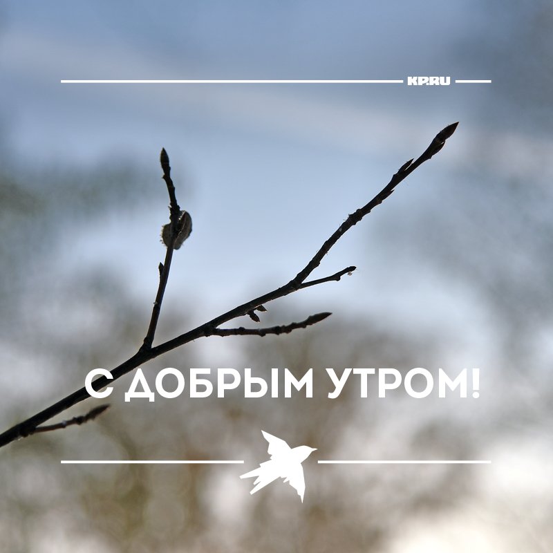 Ледяной дождь в москве. Вишня зимой. Ледяные капли дождя. Ледяные ягоды. Ледяной дождь в саду.