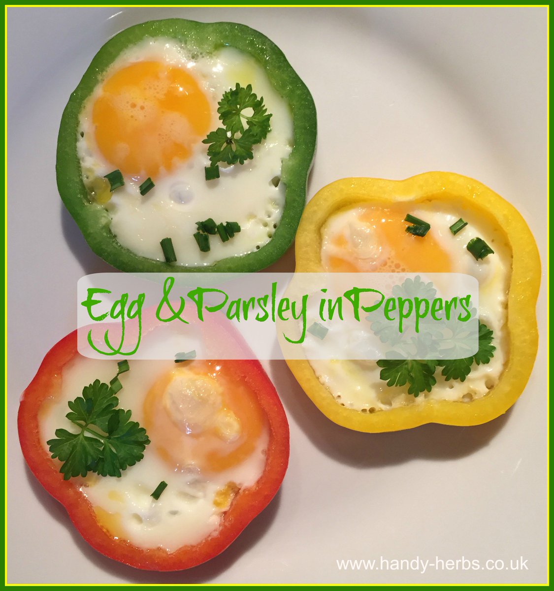 HandyHerbs's tweet photo. Egg in colourful peppers to cook with an adult – a healthy breakfast or snack. https://t.co/yOeD3127e4 #breakfast #healthy #cookingwithkids https://t.co/4SD358N1Pn