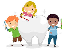 HealthNerdDaily's tweet photo. For a healthy smile, brush your teeth after meals and before you go to bed with a soft or medium bristled toothbrush.Also use floss daily https://t.co/Suntpr7lZz