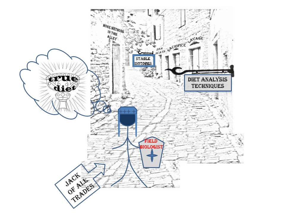 online ecological assessment of child problem behavior a clinical package for home school and institutional settings