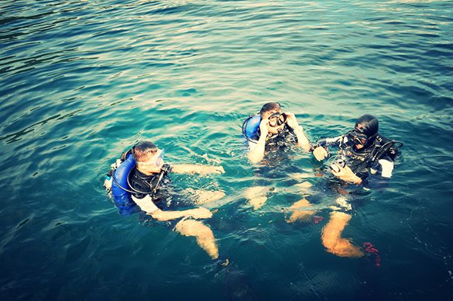 Weekend has started... #diving #scuba #sea #underwater #scubadiving #gopro #ocean #padi #diver scubadivecourses.com 📷: @alphadivevn
