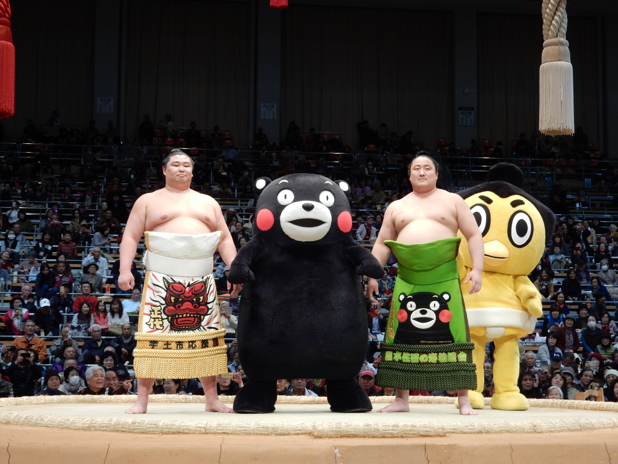 大相撲　正代関　くまモン　反物　一反 大相撲 正代関 くまモン 反物 一反 - メルカリ