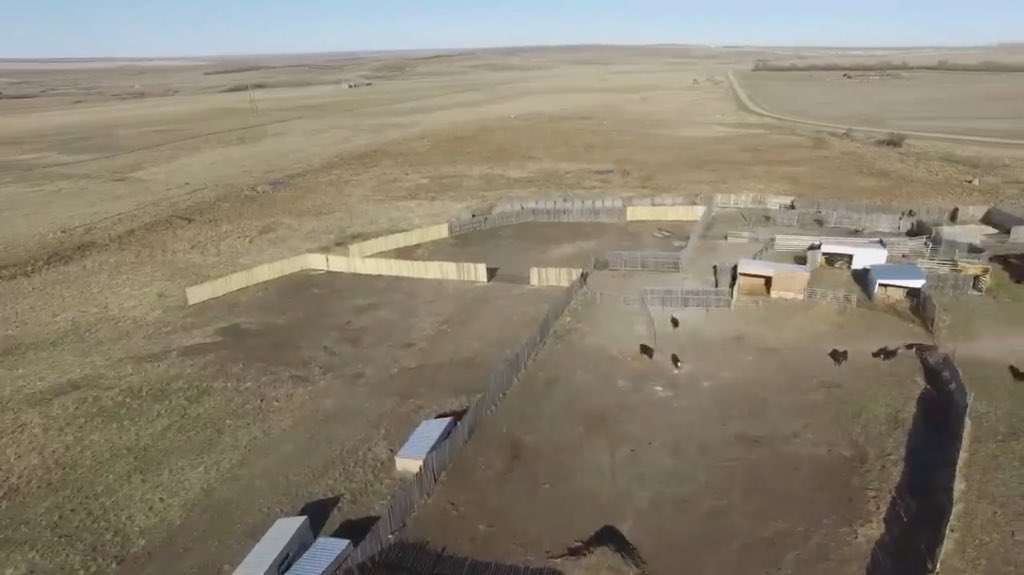 Chrisnoll_Sask's tweet photo. Shipped the calves out today and tried out the drone! #drone #fallrun16 #agchat https://t.co/fTAzGRgDcw