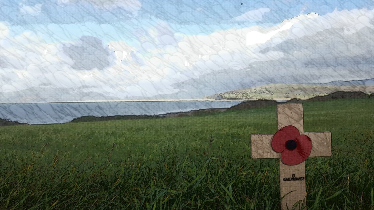 Official ShellIsland tweet media