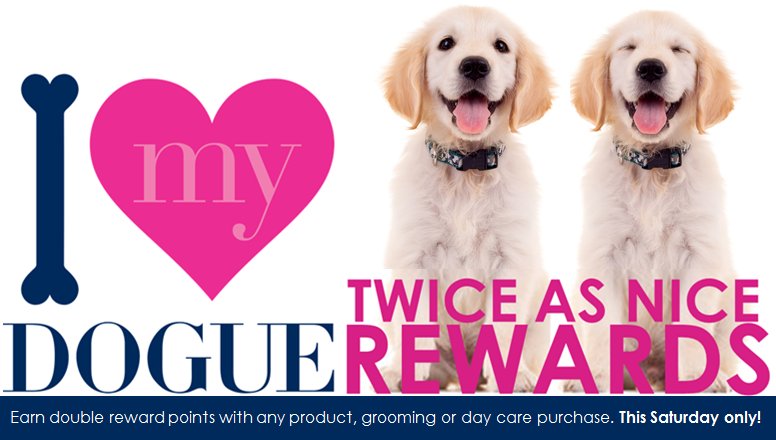 ClubDogue's tweet photo. Tomorrow's the day! Who's heading in store? #doublerewardpoints #DOGUE https://t.co/A5Gmc26Jid