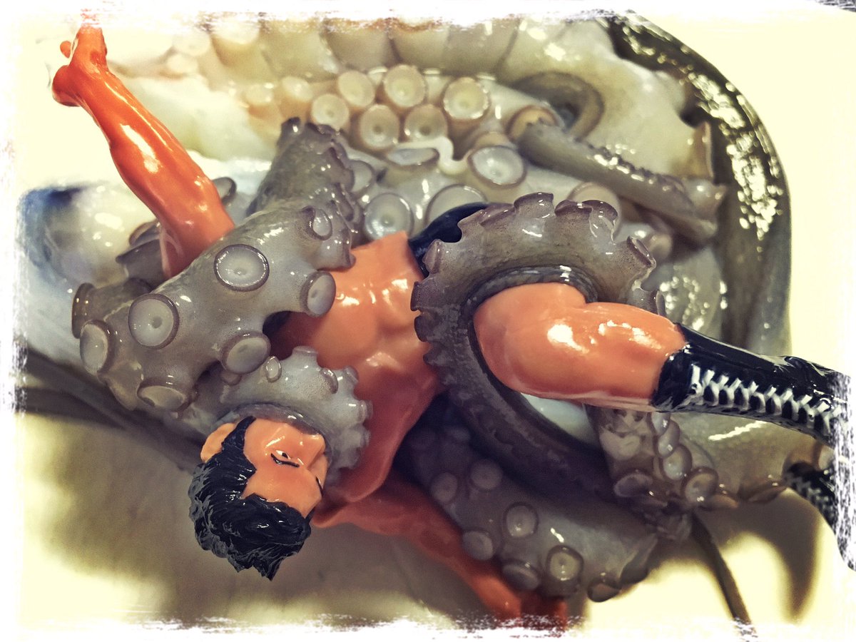 Yi Aѳ Yifc Twitter પર 元気があればタコとプロレスも出来る これが本当のオクトパスホールド 卍固め 猪木さん フィギュアvs昨日釣ったタコ笑 タコ Octopus アントニオ猪木 Inoki 卍固め Octopushold プロレス Prowrestling T Co Wsfrab5js6