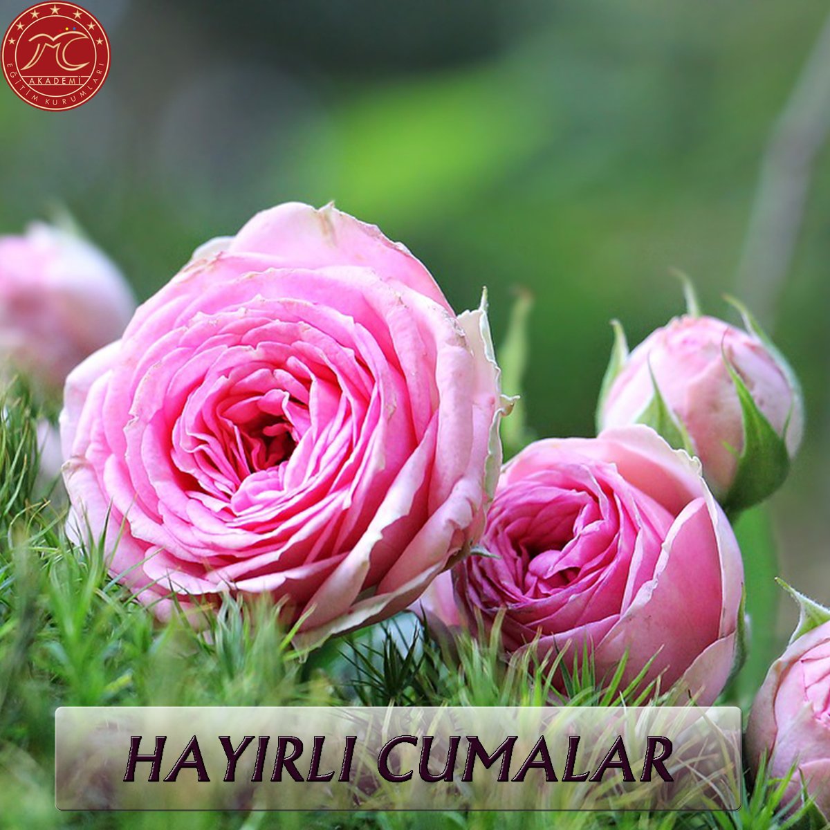 "Hayırlı Cumalar"