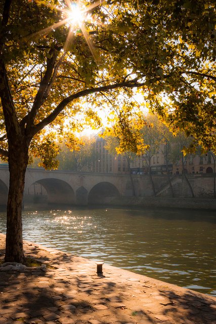 danicolavitti's tweet photo. #Portocon me le stelle,
io vengo dalla terra
che sostiene i miei passi,
io offro il mio cuore
al mondo intero✨🌹🍂 https://t.co/56CpxRfFmi