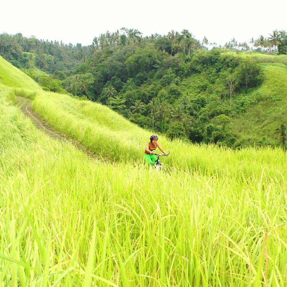 ONEWORLDBali's tweet photo. Have you ever pampered your eyes with such greeneries? #oneworldretreats #bukitcampuhan #ubud #bike #trekking #thursdayblast #greenthursday https://t.co/uHDJPNSeUn