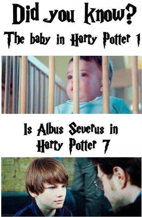 ppclogan's tweet photo. Six more days til Harry Potter night! #ppclogan #harrypotternight https://t.co/U4COdha8Kw