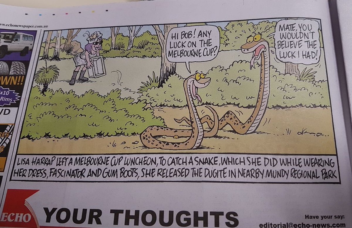 LisaHarrap's tweet image. You know you've made it (or have friends in weird media places) when you get your own comic @Echonewswa