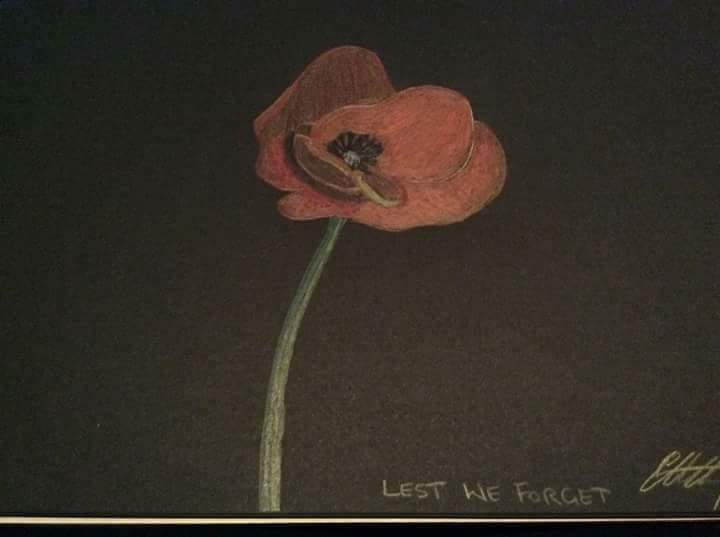 celina_hartley's tweet photo. #remembranceday https://t.co/Yh8nRTAXR0
