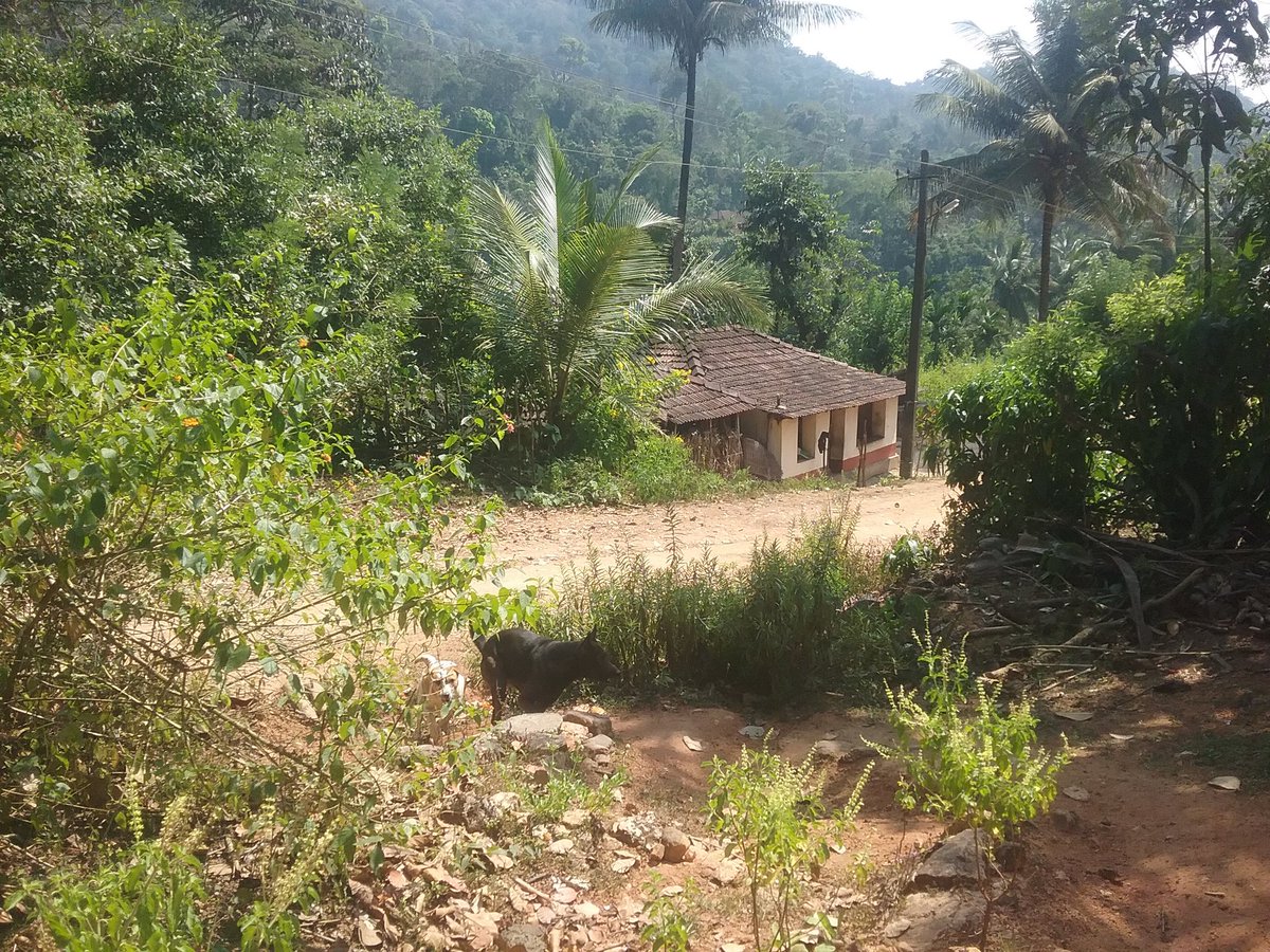 ArunavaBanerj18's tweet image. An empty Tanganemane as residents left for winter work in other villages. #PrintPods #InsertComma #ObserveThis16