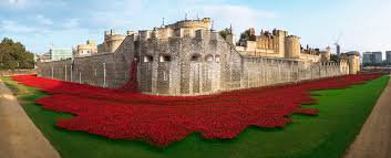 theJeremyVine's tweet photo. I remember seeing the Tower of London poppies and thinking this was the most powerful tribute imaginable. Never forget. #RemembranceDay https://t.co/ITxbDEdVKc