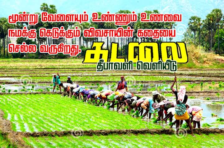 KollywoodCinima's tweet image. மாகாபா ஒரு நடிகனாக இந்த படத்தில் கொஞ்சம் முன்னேறிவிட்டார் என்று தான் சொல்ல வேண்டும், ஆட்டம், பாட்டம் என கலக்குகிறார் #Kadalai - @cineulagam