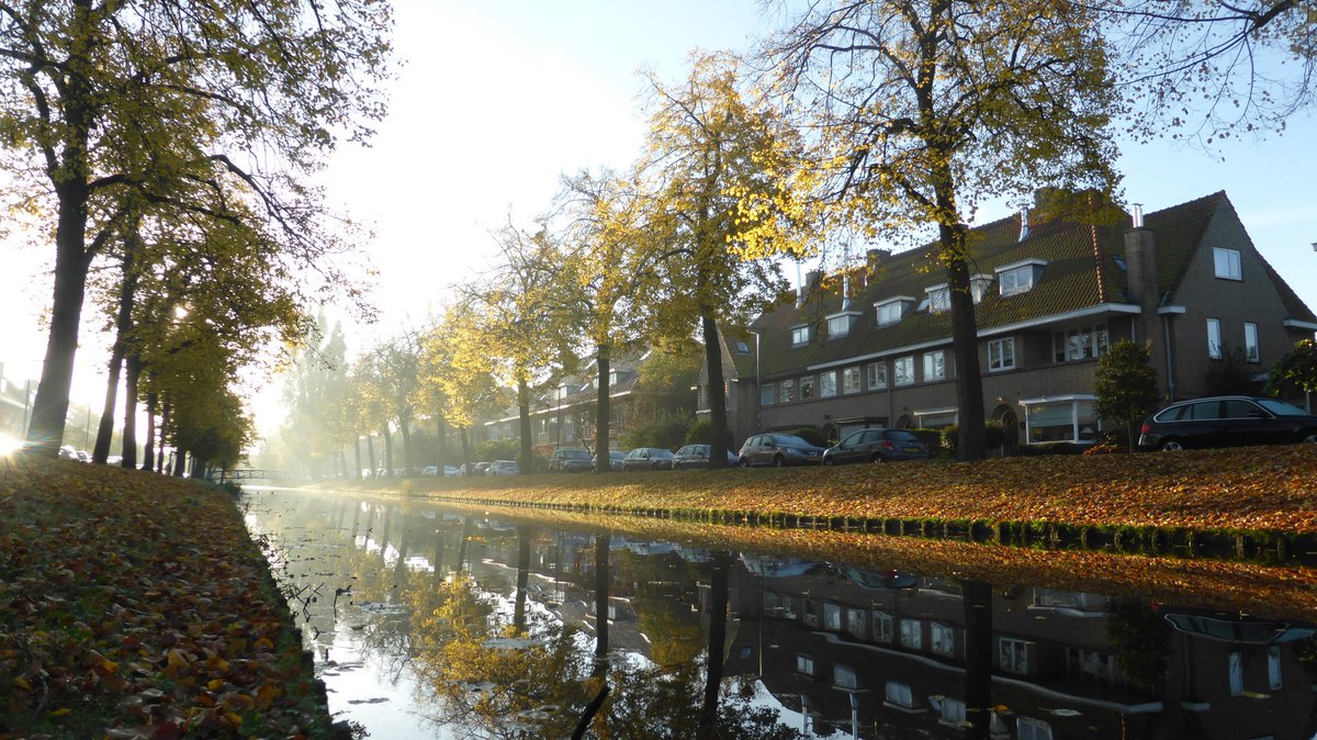 steenbrinks's tweet photo. Ook aan de singel is het herfst @inHillegersberg #breitnersingel https://t.co/C5ZghCYcng