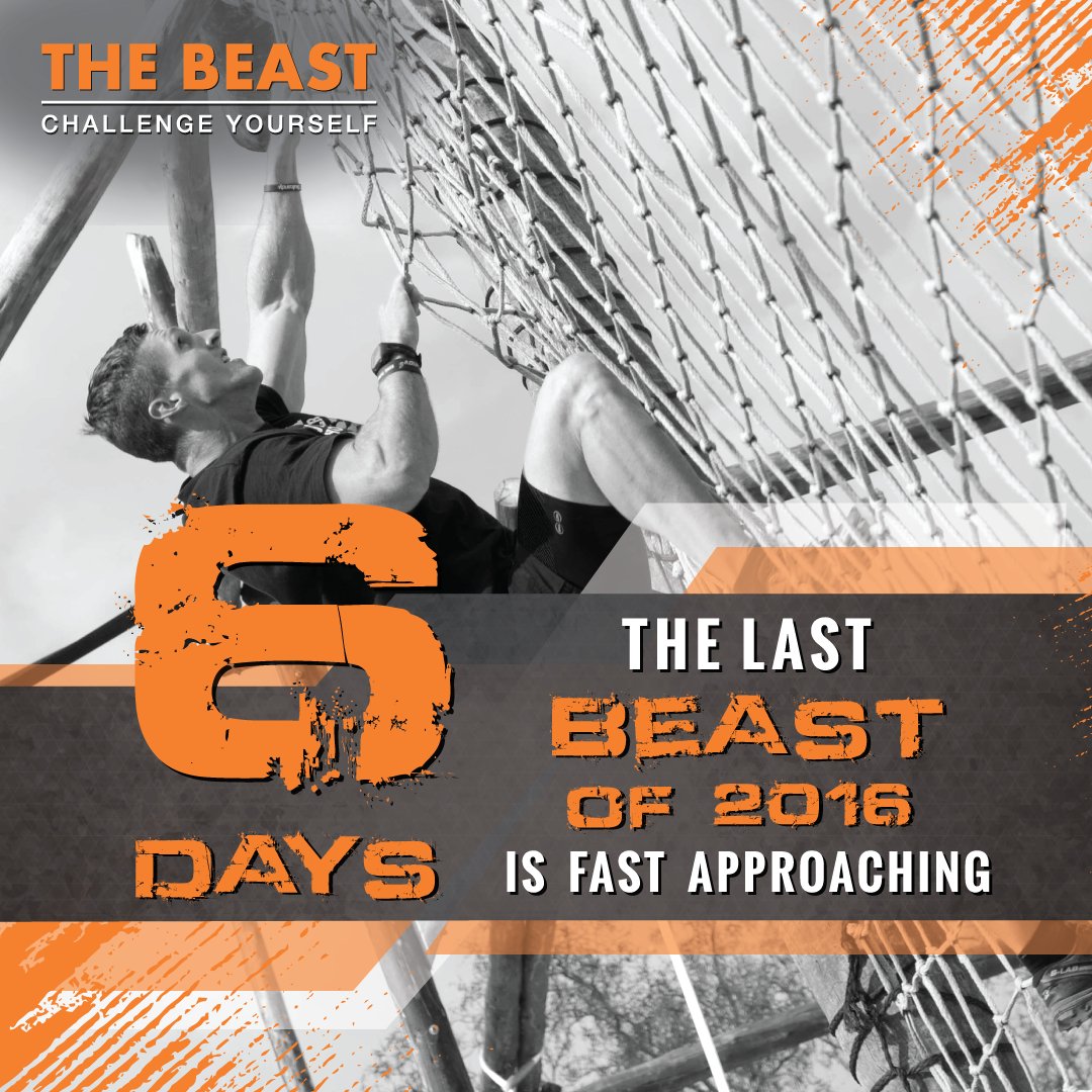 The Beast tweet media