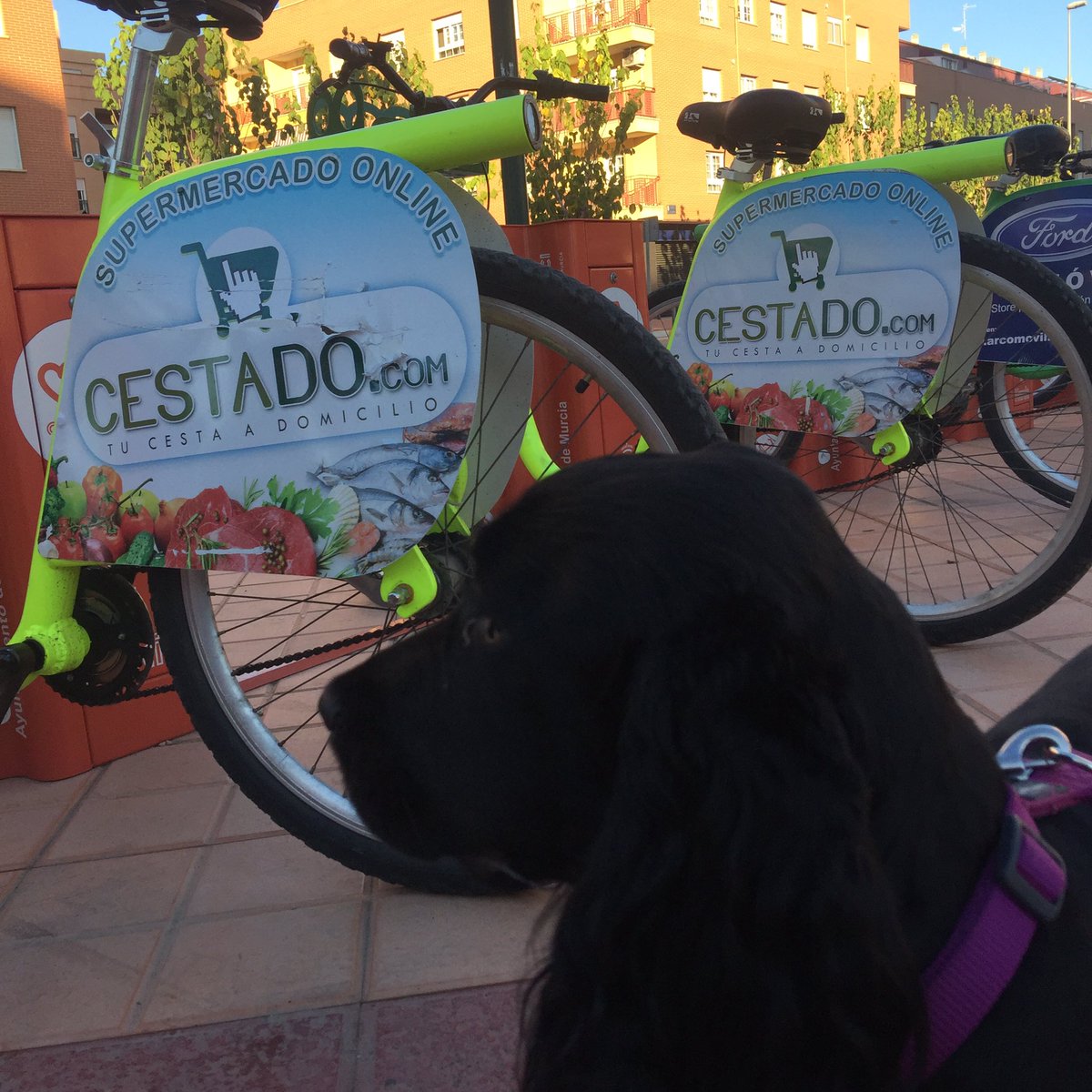 A #pelusa también le gusta las bicis de <a href="/CestadoSuper/">Cestado - Supermercado Online en Murcia</a> y como no #cestadoypedalea