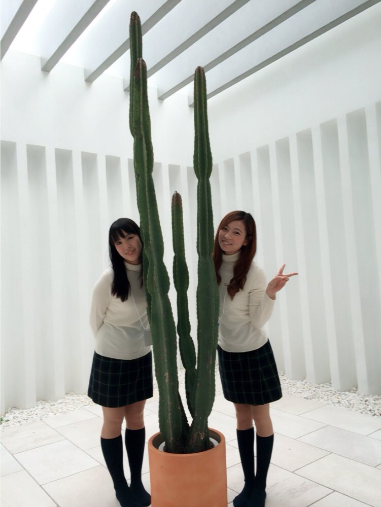 山口奈津季 Natsukichiman Twitter 山口奈津季 Natsukichiman Twitter