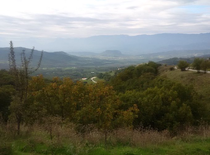 View image on Twitter