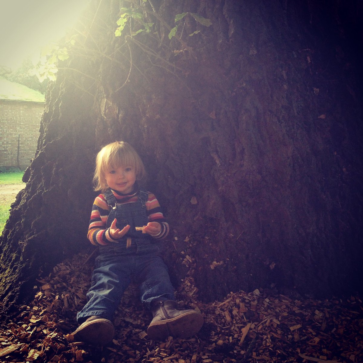 wildernessweds's tweet photo. Norfolk Life in &amp; around Happy Valley Norfolk #glamping #winterglamping #minibreak #getaway #escape #discover #westnorfolk #staycation https://t.co/cPymRJPoZp