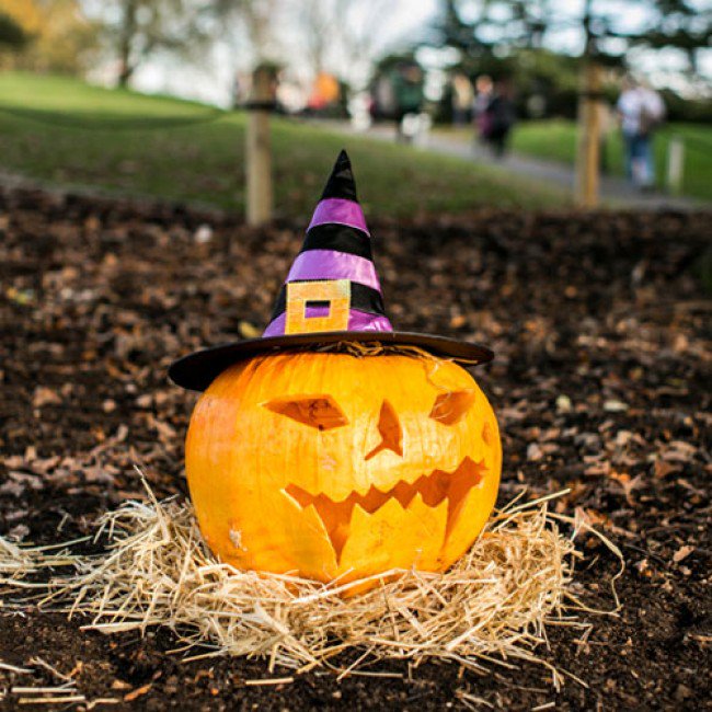 LottoGoodCauses's tweet photo. Free family fun on #DoSomethingSunday! @heritagelottery funded @hornimanmuseum is holding a #halloween fair https://t.co/WvSZeqcsV0 https://t.co/q05bRbFCo1