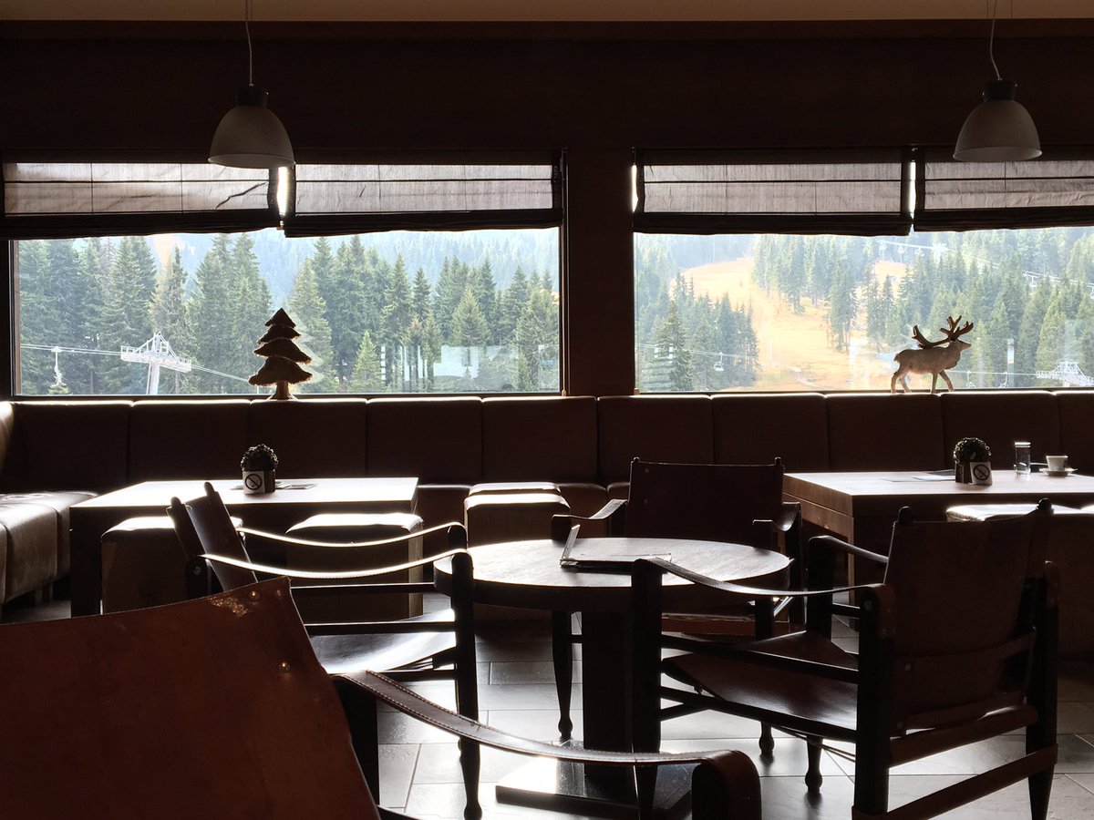 Gogili_Gogili's tweet photo. Radna #nedelja u prelepom #Forestbar @mkresort #kopaonik https://t.co/GVj1m3HiVg