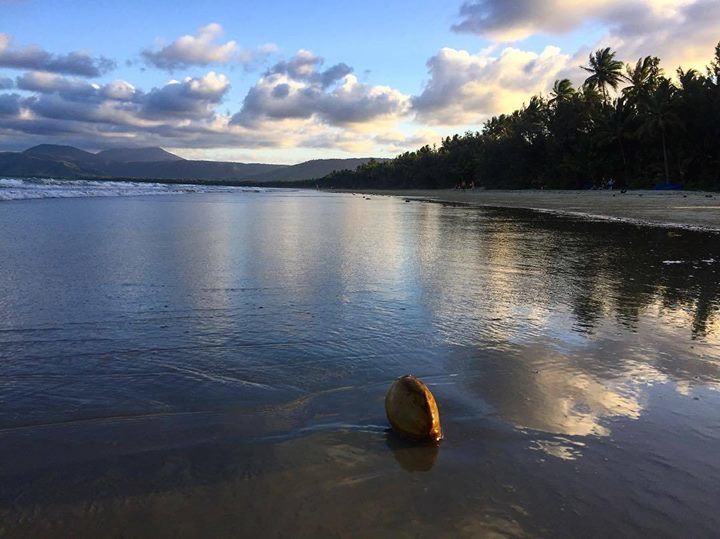 Ian_Pyott's tweet photo. Rest day here - priceless #tri #training #travel #australia #beach #sunset #coconut #restd… https://t.co/sKho3HigpR https://t.co/RgVMmoVrKP