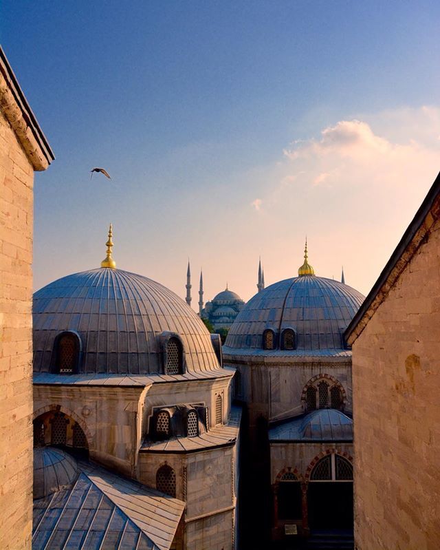 pubholidays's tweet photo. A perfect view of the rooftop of Hagia Sophia
https://t.co/4vyIzQJ1NT
Instagram/detuta
#publicholiday #turkey https://t.co/q3IO7DJLkv